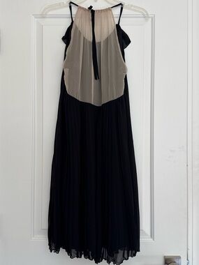 McGinn Black and Beige Pleated Dress with Sheer Back